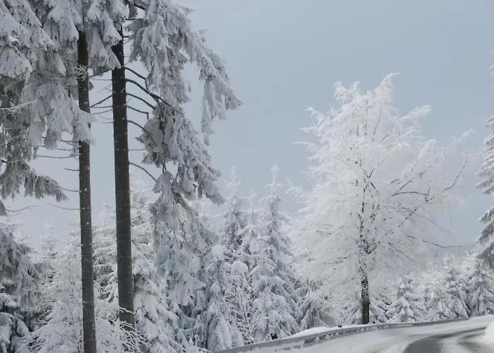 Thueringer By Interhome *