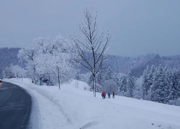 Thueringer By Interhome * Gehlberg