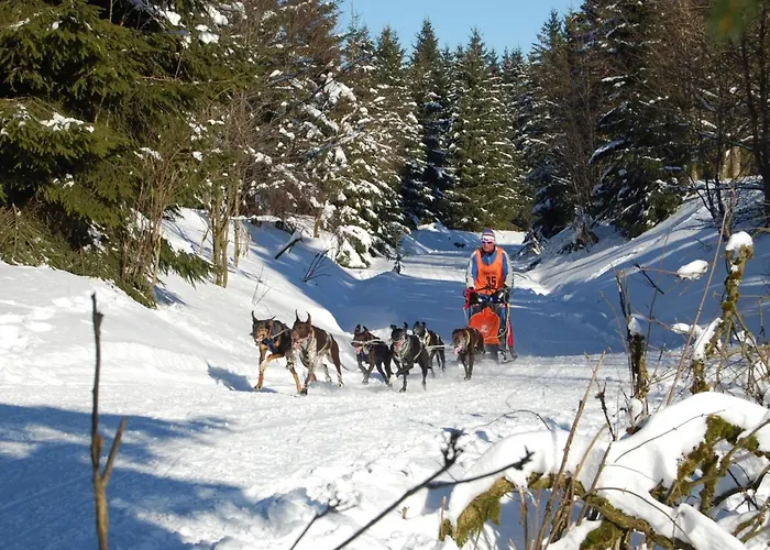 Thueringer By Interhome *